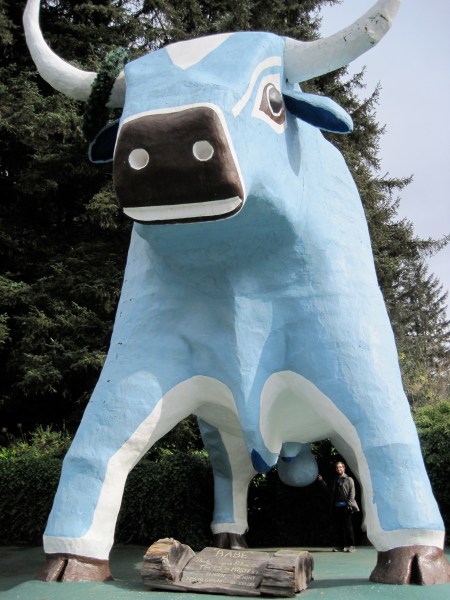 Martin and massive ball