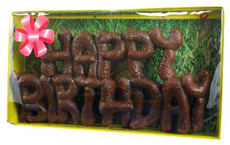 happy-birthday-dog-poop-cake