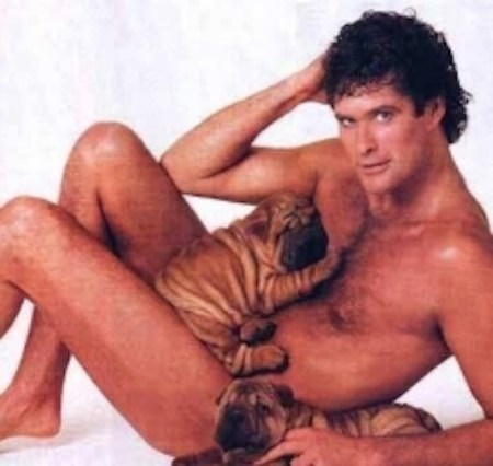 The-Hoff-Takes-a-Nap-During-Live-Interview-2