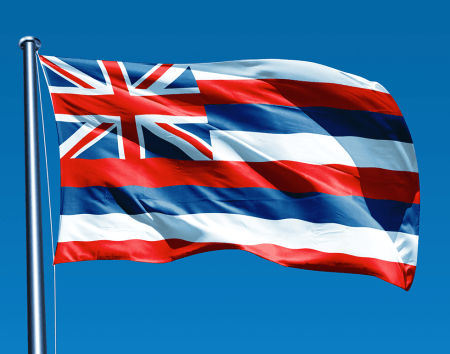 HawaiiFlagPicture4