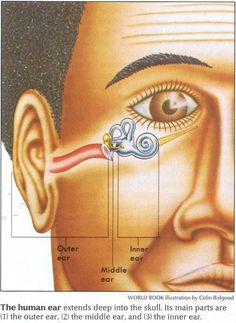 26b1130c08941f754389203eb780e60d